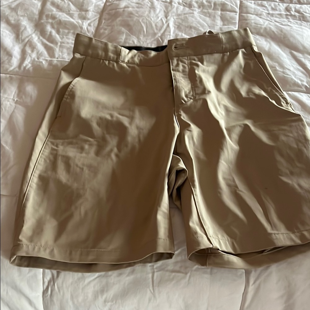 Patagonia Tan Flat Front Shorts